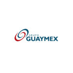 logo_Grupo Guaymex