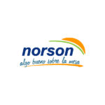 logo_Norson